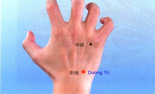 Huyệt dương trì