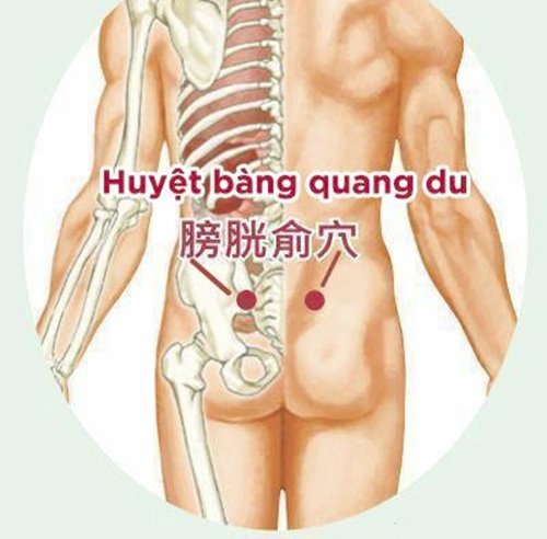 Huyệt Bàng Quang Du