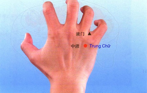 Huyệt trung chử