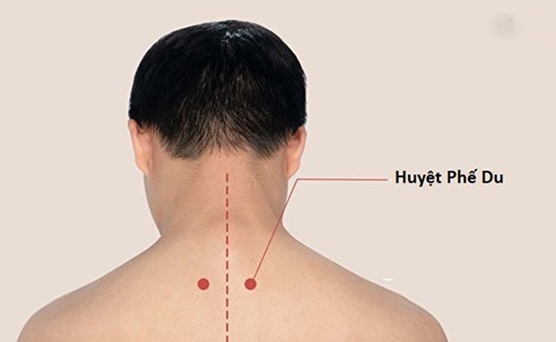 Huyệt Phế Du