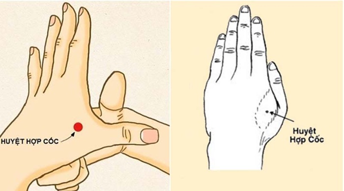 Huyệt hợp cốc