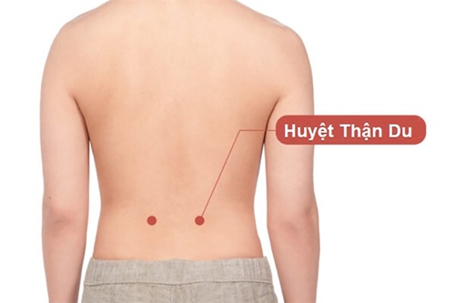 Huyệt Thận Du
