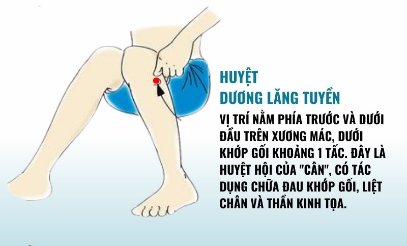 Huyệt dương lăng tuyền nằm ở đâu trên cơ thể