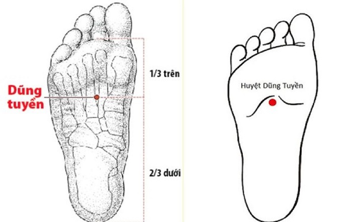 Huyệt dũng tuyền