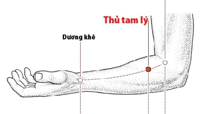 Huyệt thủ tam lý