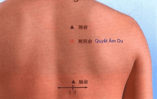 Huyệt Quyết Âm Du