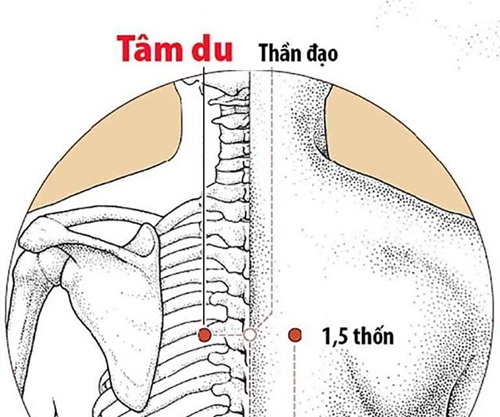 Huyệt Tâm Du