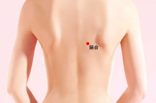 Huyệt Cách Du
