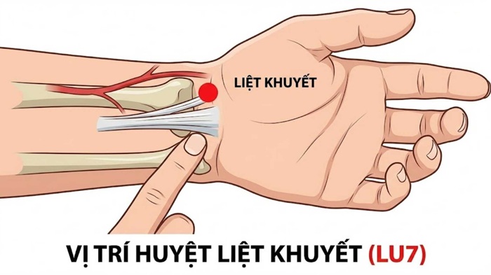 Huyệt liệt khuyết