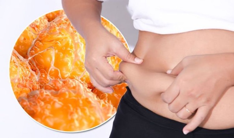 Subcutaneous Fat là gì? Ý nghĩa chỉ số mỡ dưới da trên cân sức khỏe