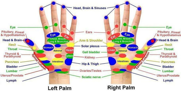 Theo y học cổ truyền, huyệt vị là những điểm đặc biệt nằm trên hệ thống kinh lạc