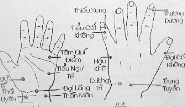 bàn tay là “bản đồ thu nhỏ” của cơ thể, nơi tập trung nhiều kinh mạch quan trọng đi qua