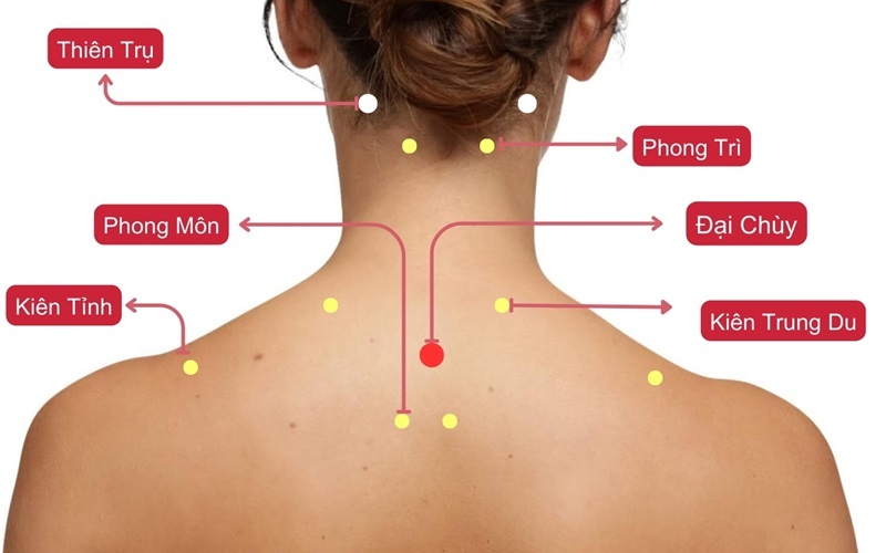 vùng lưng là nơi tập trung các huyệt thuộc hệ kinh Bàng Quang – một trong những hệ kinh mạch quan trọng nhất