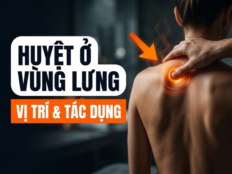 Các huyệt ở vùng lưng: Vị trí, tác dụng, cách bấm huyệt hiệu quả