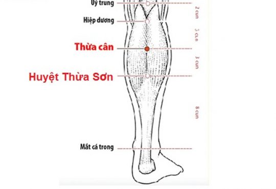 Huyệt thừa sơn là một huyệt đạo nằm ở mặt sau cẳng chân