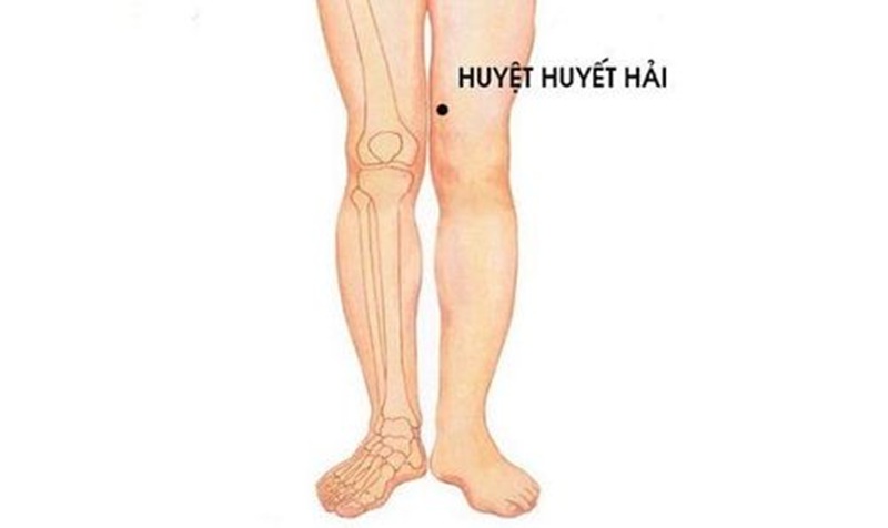 Huyệt huyết hải là huyệt đạo thuộc kinh Tỳ, nằm ở mặt trong đầu gối