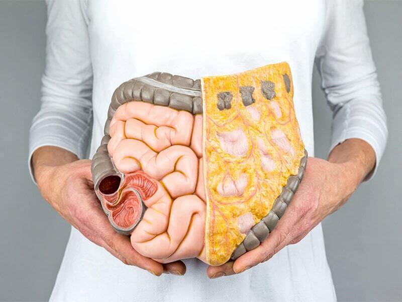 Chỉ số mỡ nội tạng (Visceral Fat Level)