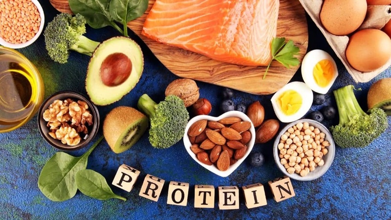 Cung cấp đủ lượng Protein chất lượng cao