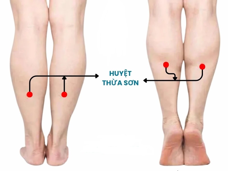 Huyệt thừa sơn: Vị trí, tác dụng và cách bấm huyệt hiệu quả