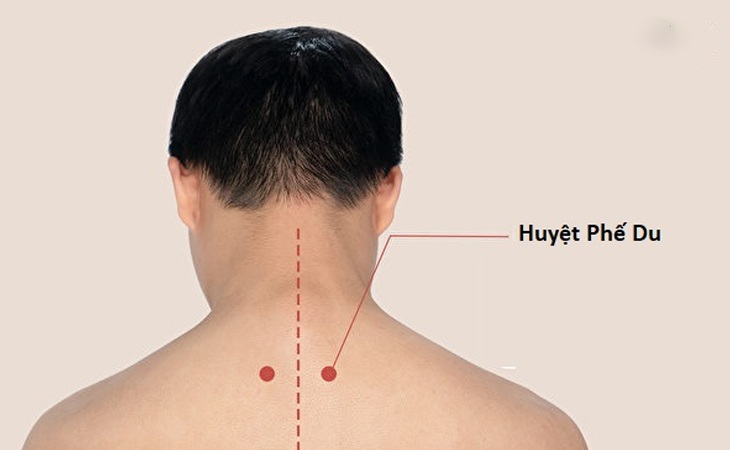 Huyệt nằm ở vùng lưng trên, dưới mỏm gai đốt sống ngực thứ ba (D3 hoặc T3), đo ngang sang hai bên khoảng 1,5 thốn