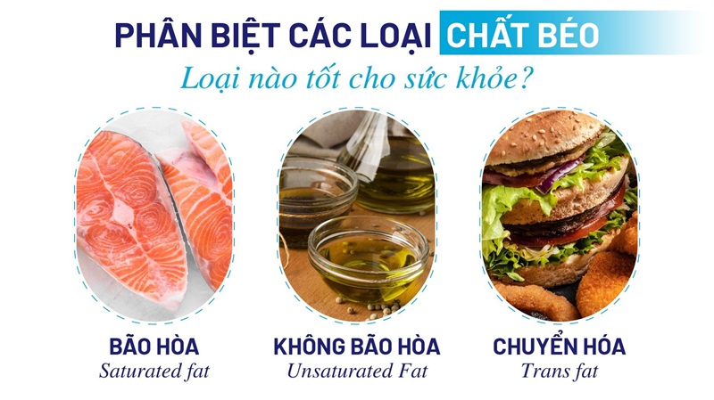 Chất béo gồm những loại nào?
