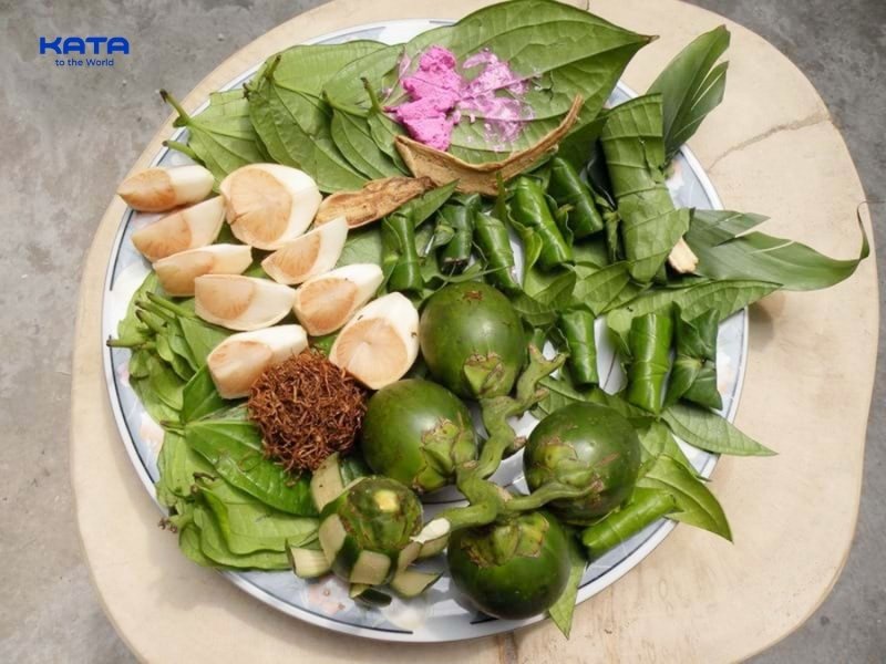 Cảm giác say khi ăn trầu do tác động của arecoline và các alkaloid có trong hạt cau