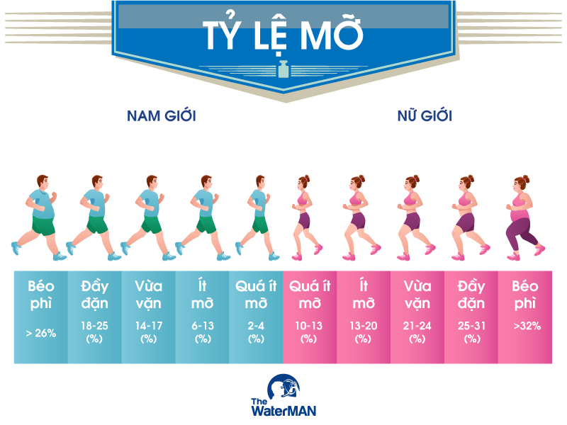 Tỷ lệ mỡ cơ thể (Body Fat) – chỉ số “thật” của vóc dáng