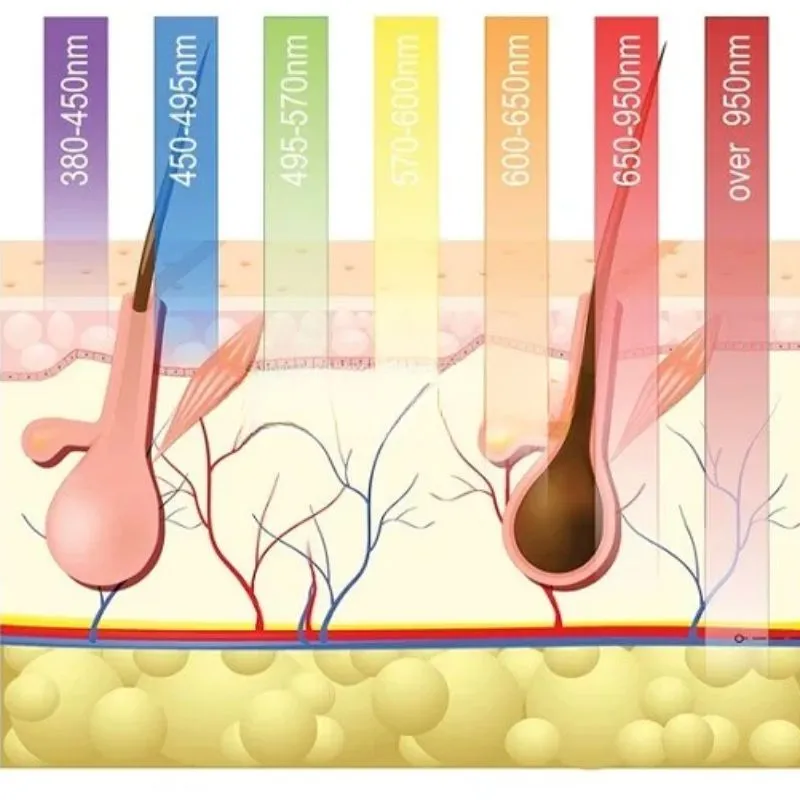 Ánh sáng sinh học là gì?