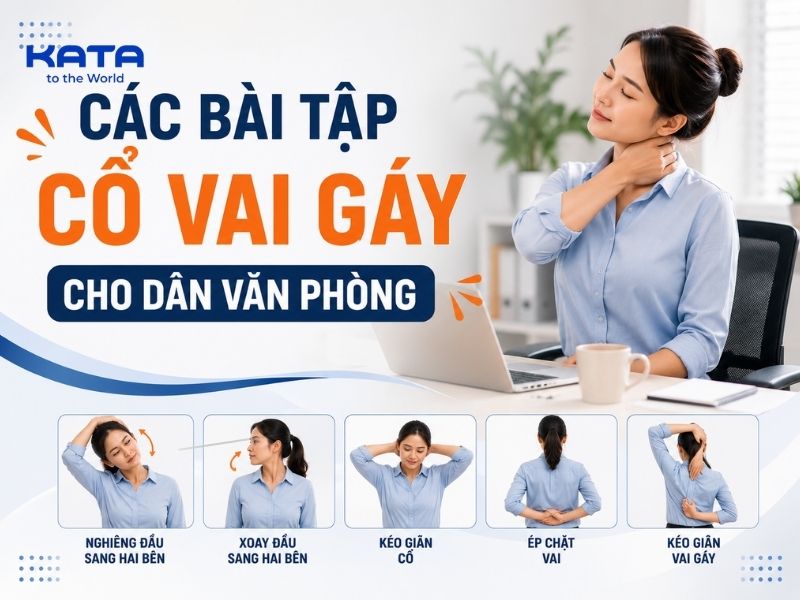 Các bài tập cổ vai gáy cho dân văn phòng giúp giảm đau mỏi hiệu quả