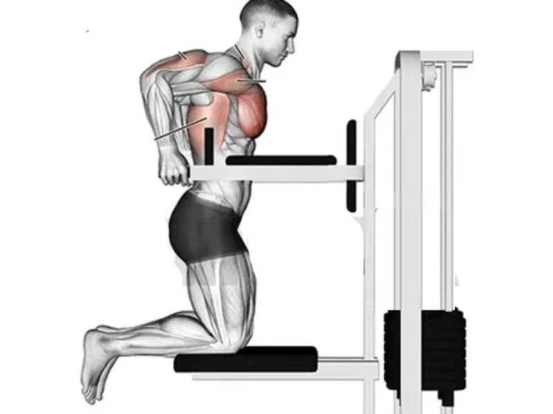 Hỗ trợ lưu thông máu tốt hơn