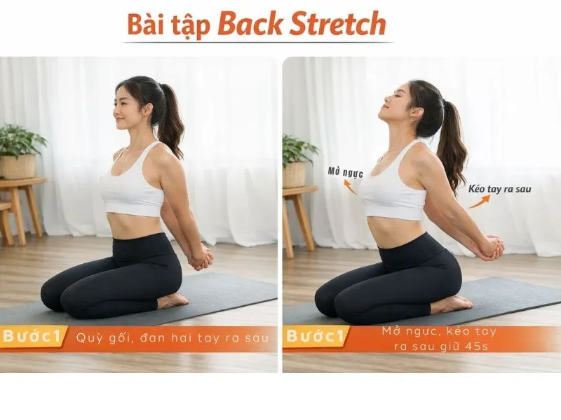 Bài tập Back Stretch