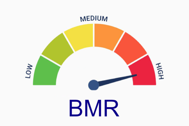 BMR cao và BMR thấp có ý nghĩa gì