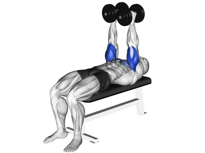Skull Crusher với tạ đơn