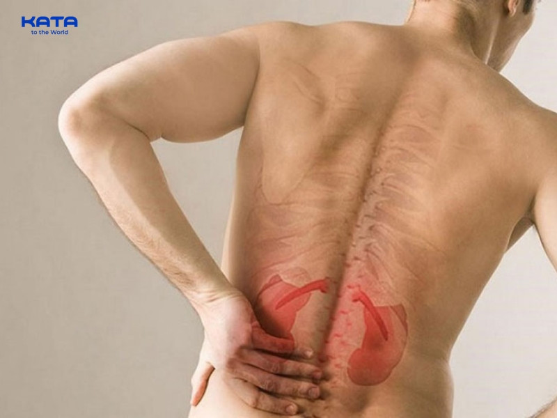 Huyệt Thận Du là một trong những huyệt vị quan trọng thuộc kinh Túc Thái Dương Bàng Quang