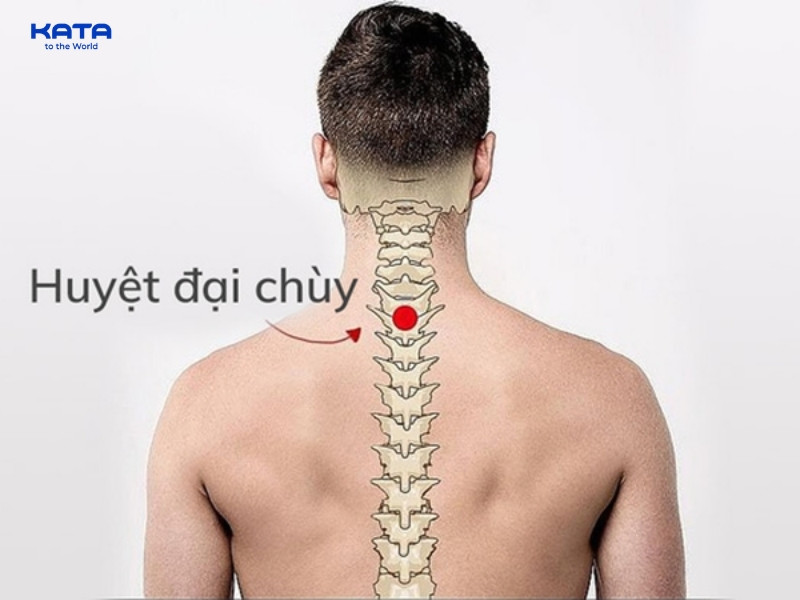 Huyệt Đại Chùy là huyệt vị số 14 thuộc Mạch Đốc, có vị trí quan trọng trong y học cổ truyền