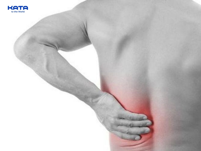 Huyệt Đởm Du đóng vai trò quan trọng trong việc điều hòa chức năng của mật