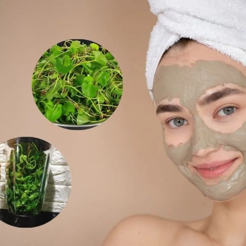 Rửa mặt bằng rau má 