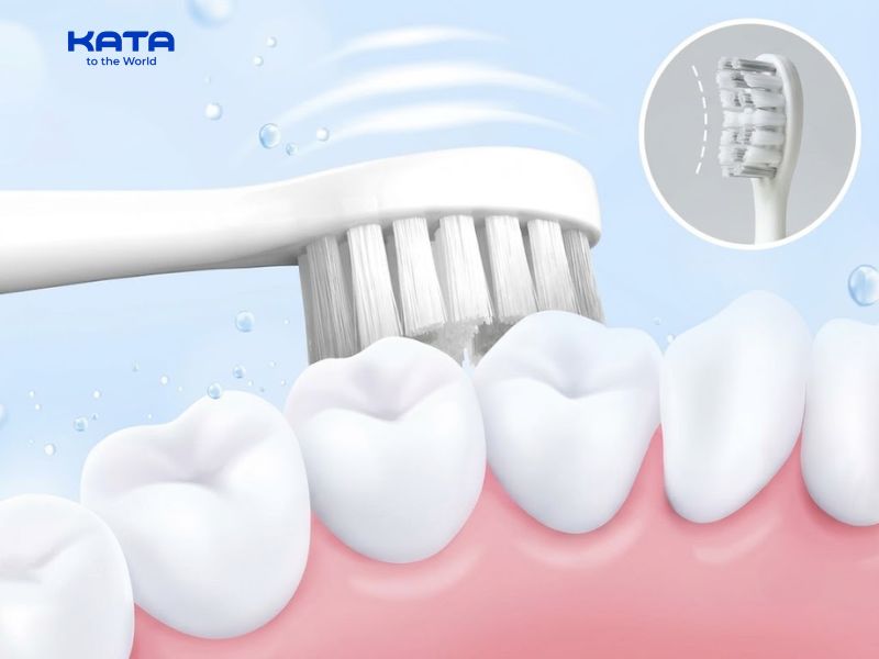 Khi đánh răng nên dùng lực nhẹ nhàng, không dùng lực quá mạnh sẽ ảnh hưởng đến nướu