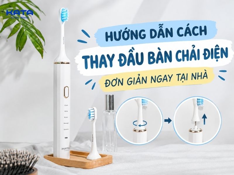 Hướng dẫn cách thay đầu bàn chải điện đơn giản ngay tại nhà