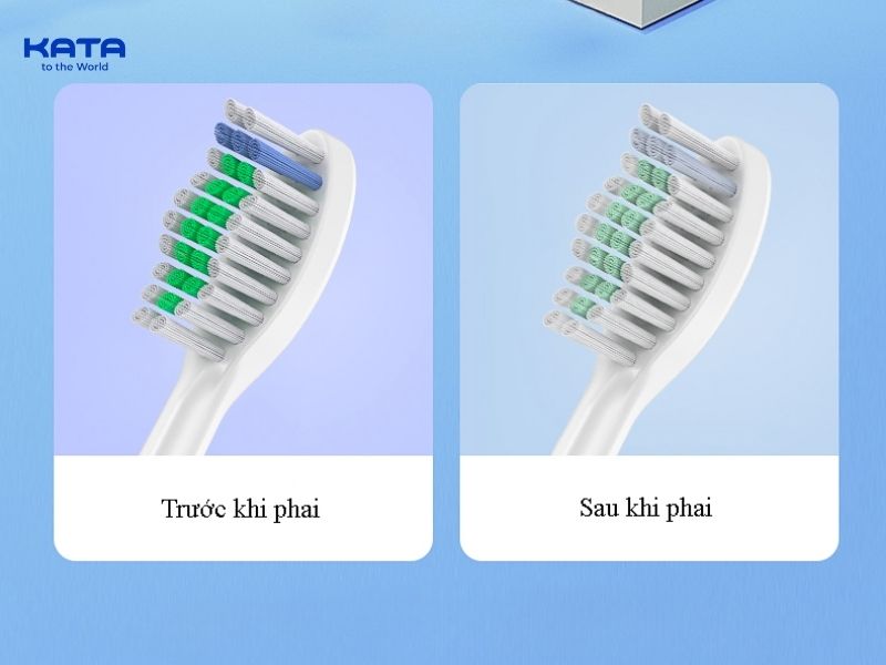 Bạn nên thay đầu bàn chải mới khi lông bàn chải bị đổi màu, bám cặn khó rửa