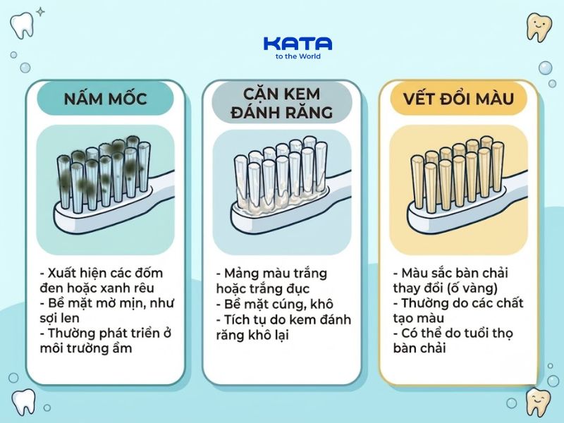 Phân biệt nấm mốc, cặn kem đánh răng và vết đổi màu