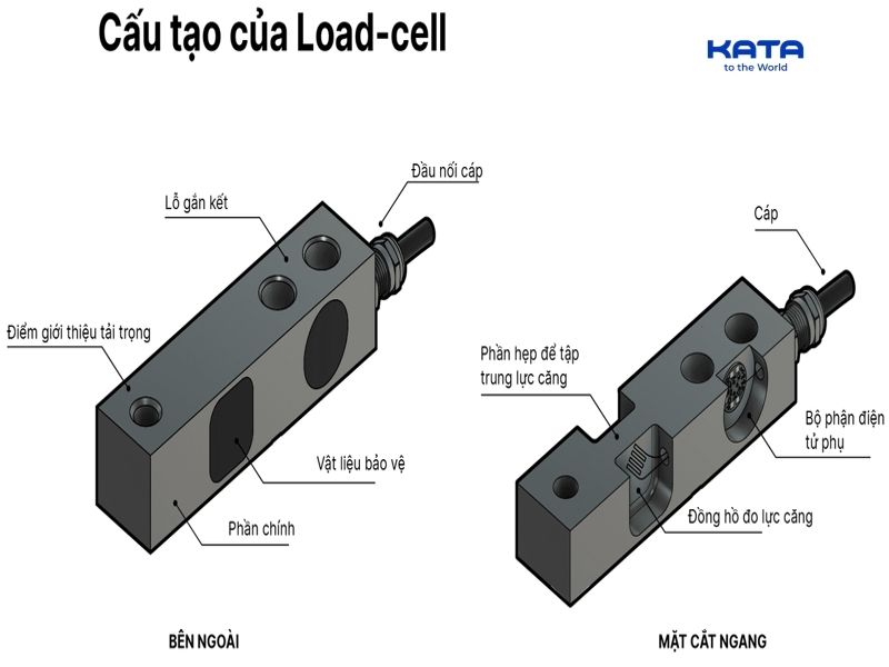 Cấu tạo cơ bản của Loadcell gồm Strain Gauge và Load