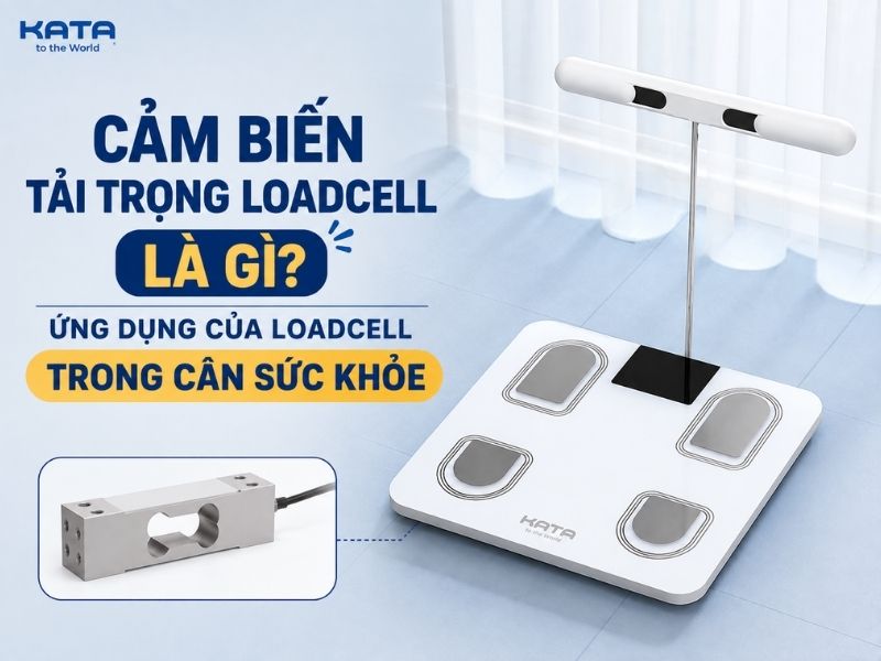 Cảm biến tải trọng Loadcell là gì? Ứng dụng của loadcell trong cân sức khỏe