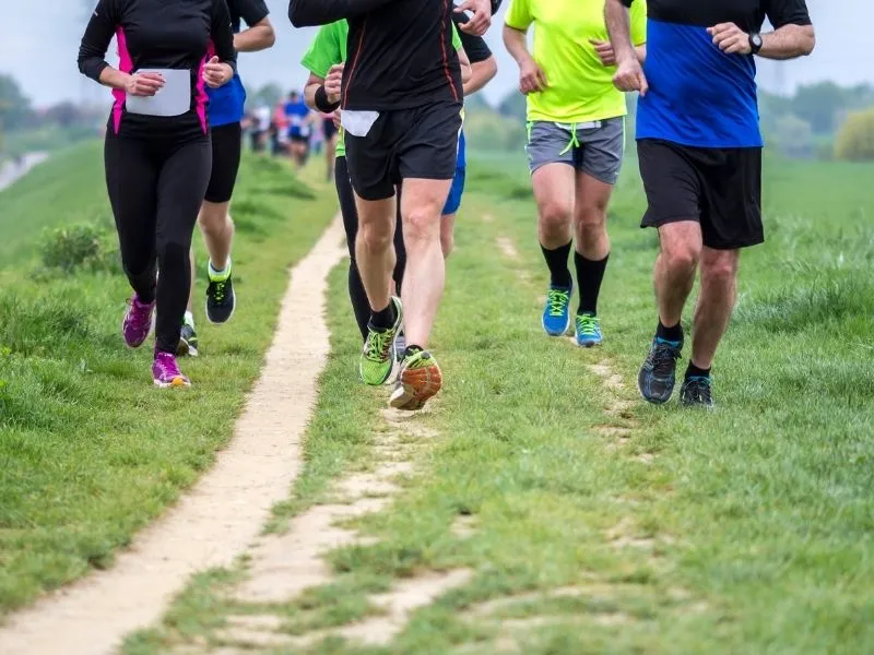  Chạy việt dã là gì?  