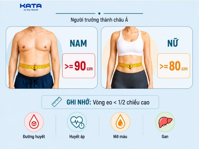 Chu vi vòng eo của nam ước tính dưới 90cm và nữ dưới 80cm
