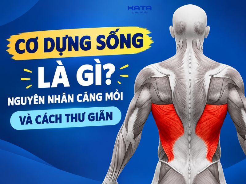 Cơ dựng sống là gì? Nguyên nhân căng mỏi và cách thư giãn