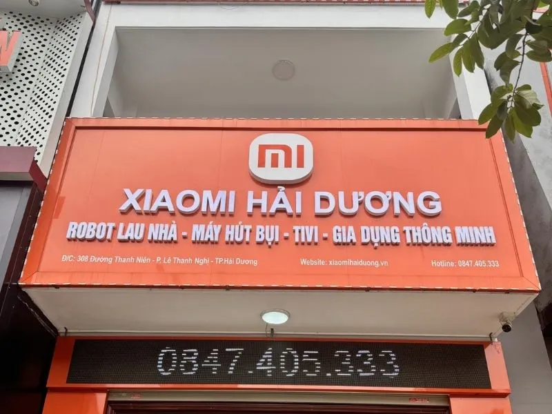 Mi Việt Nam tại Hải Dương