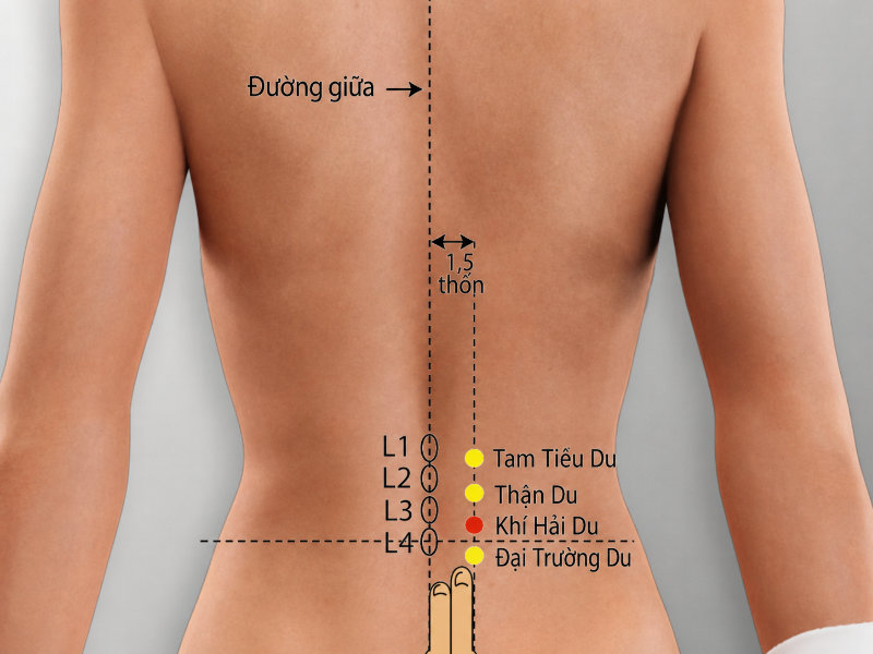 Huyệt Khí Hải Du