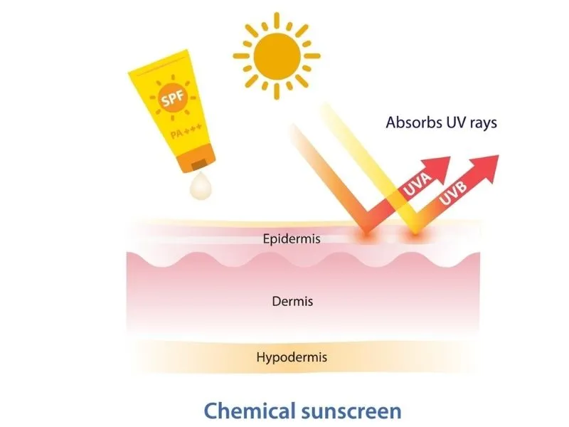 Cơ chế hoạt động của kem chống nắng hóa học 