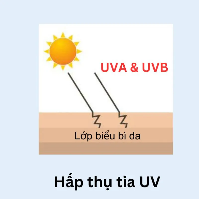  Cơ chế hấp thụ tia UV (hoặc kem chống nắng hóa học)